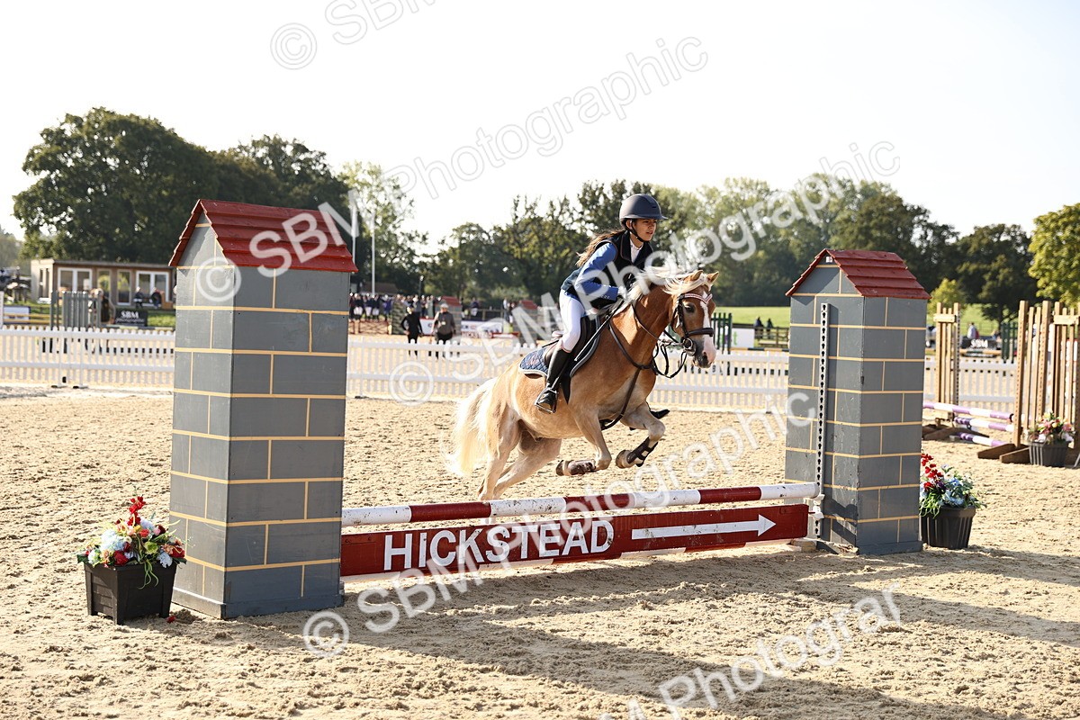 SBM_59622 - J11 - Junior Pony 50cm Championship