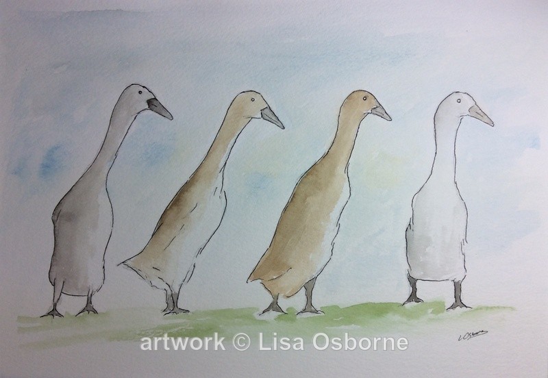 Off for a walk - Animals