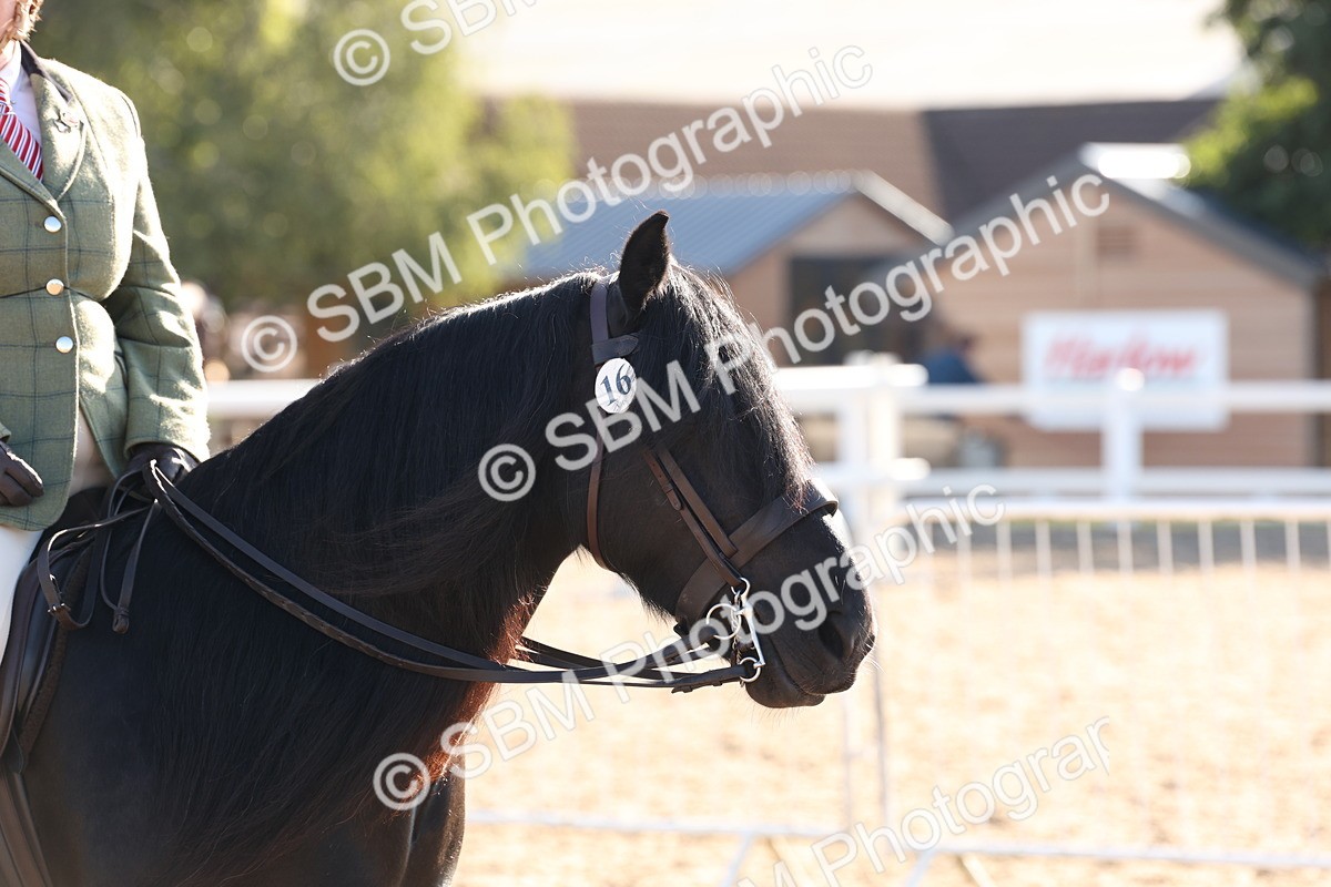 SBM_10858 - Class 202 - Best Turned Out - Ridden