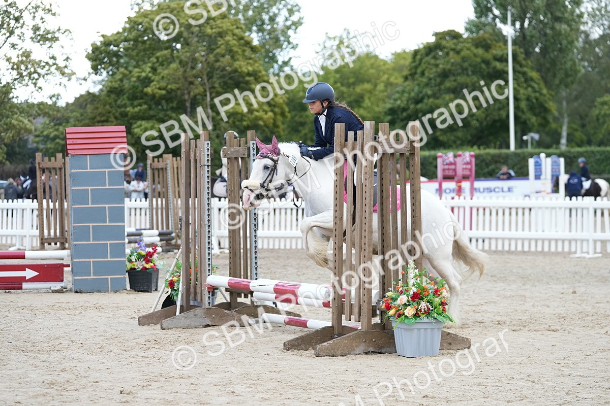 SBM_20663 - J49 - Open 50cm