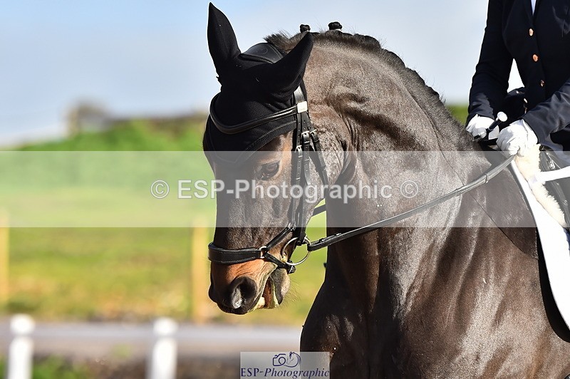 231104A-111228-01486 - Cls 5 Novice 37A