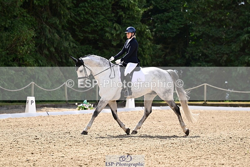 260802A-114111-05915 - Novice Silver break- end