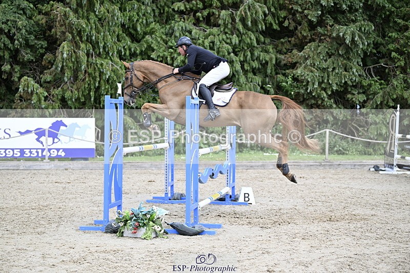 250525A-152830-18245 - C-273-Tim.Cheffings-HEARSAY.LARK.RISING