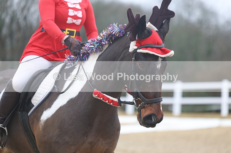 3E7A3470 - Class 2: Intro Section B