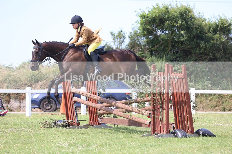 JPP_3583 - Class 23: Working Hunter 80cm