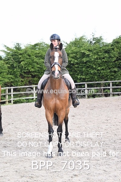 BPP_7035 - RING 1  (RIDDEN HORSES / IN HAND / VETERAN ETC)
