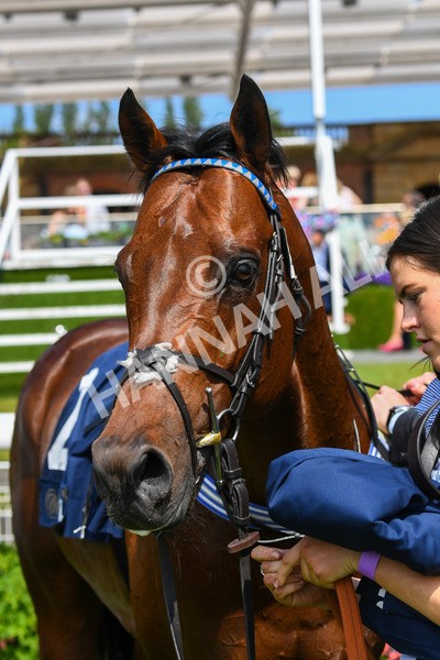 270523-Race 3-Chipstead-0489 - Race 3 2.40pm William Hill Epic Boost Handicap