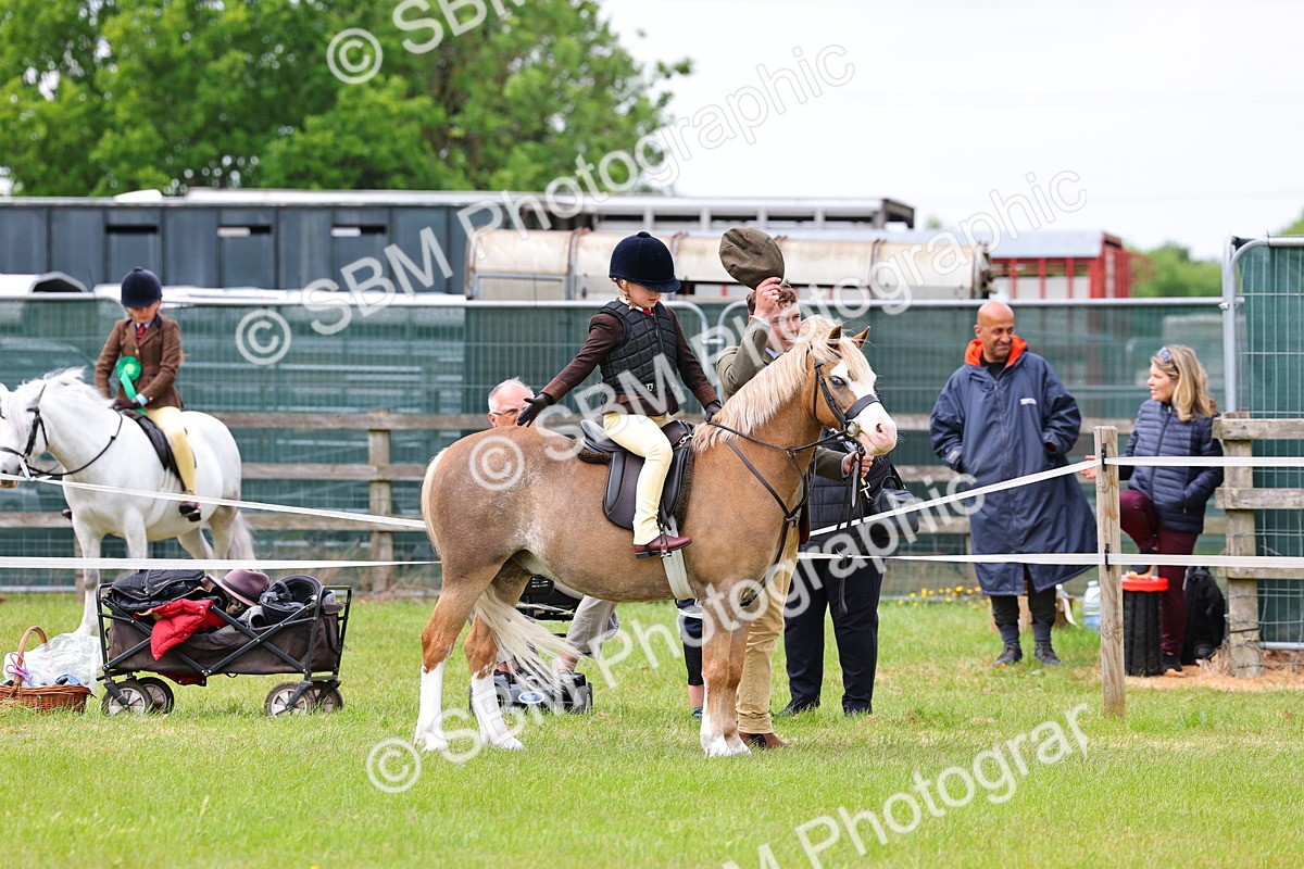 SBM_08185 - Class 42-43 - LIHS BSPS Heritage Working Sports Pony