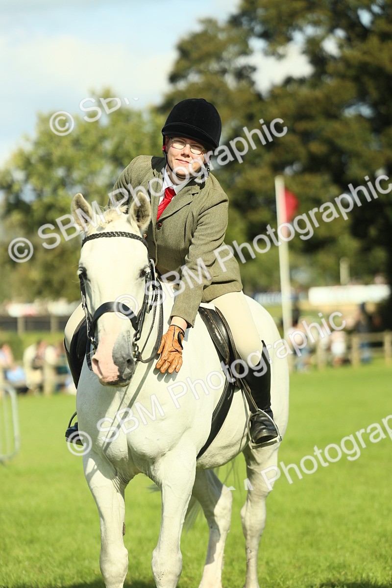 SBM_49908 - S32 - Novice & Newcomers Working Hunter