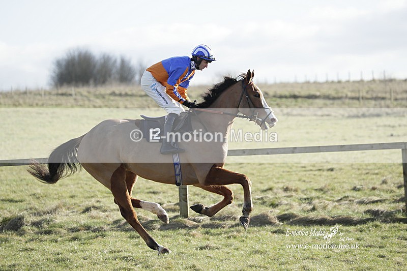 PtP 260223 1111 - South & West Wilts Point-to-Point Larkhill 26/02/23