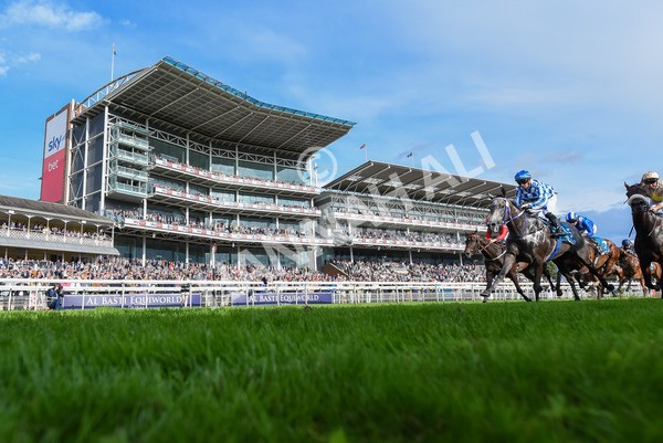 250823-Race 7-Silver Sword-1496 - Race 7 5.15pm Sky Bet Mile Handicap