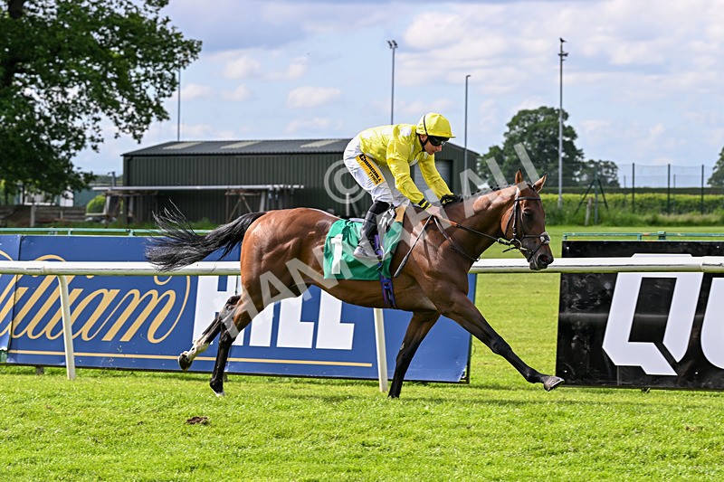 050626-Race 5-King Of Berkshire-3499 - Race 5 16.10pm Ruby Lodge Care Home In Thirsk Handicap