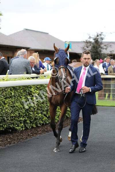 yr17082022r4-2 - Race 4 3.35pm Juddmonte International Stakes (British Champions Series Race)