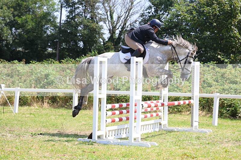 3E7A2914 - Class 7: Senior British Novice/90cm open