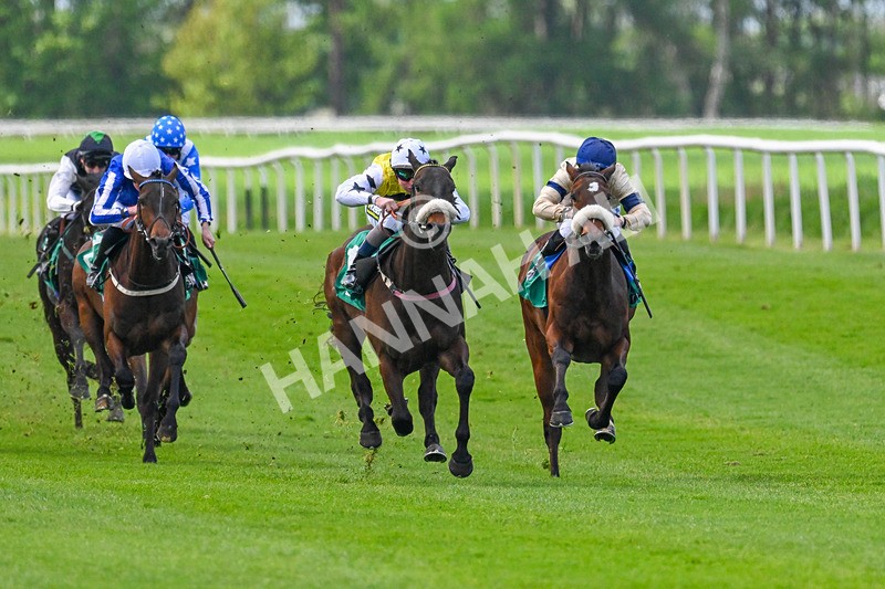 020526-Race 1-Arapaho Gold-9112 - Race 1 1.35pm Steve Poskitt's 60th Birthday Restricted Maiden Stakes