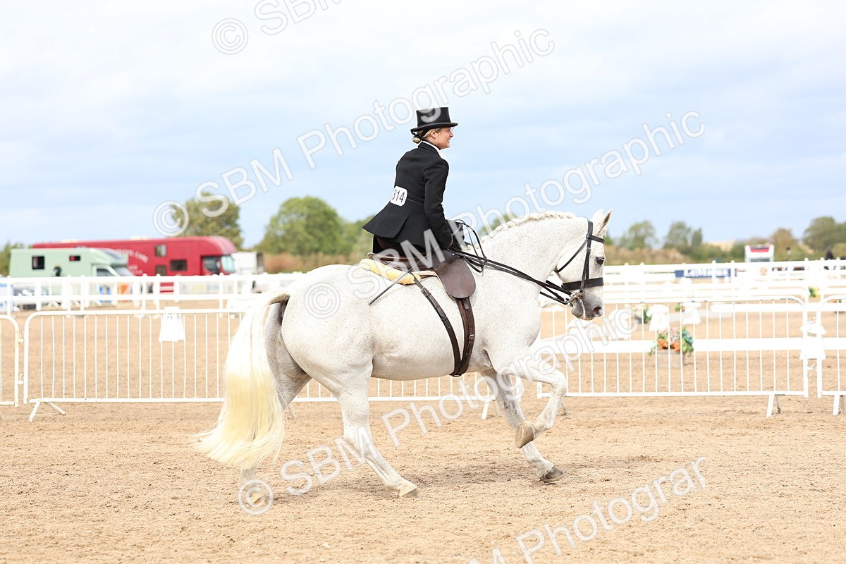 SBM_03410 - Class 24 - SSA Concours d'elegance (any age)