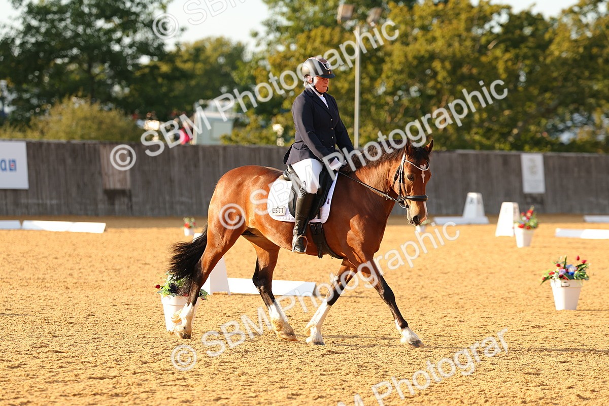 SBM_54499 - D12 - Small Tour Championship - Prelim 18