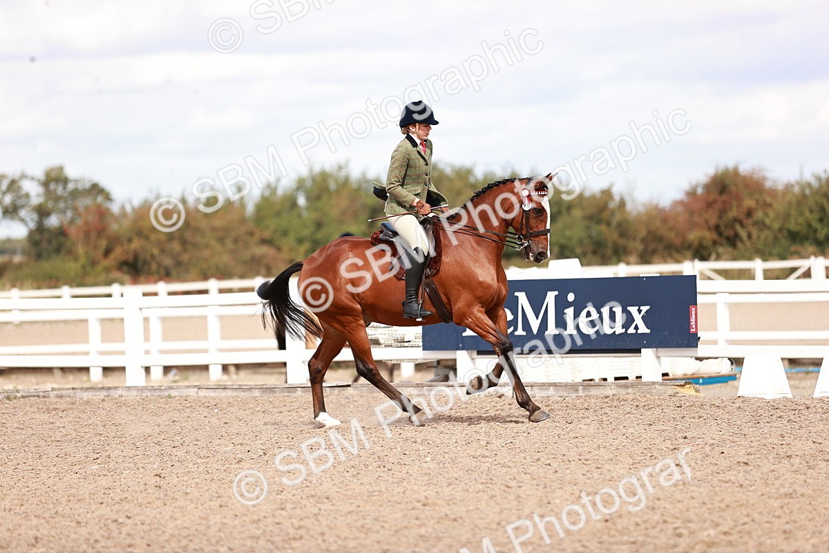 SBM_14471 - Class 410 - Grassroots Ridden - Horse