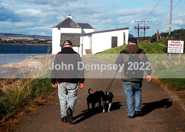 Dogwalking Kiwis 7x5 - Walking the Dog