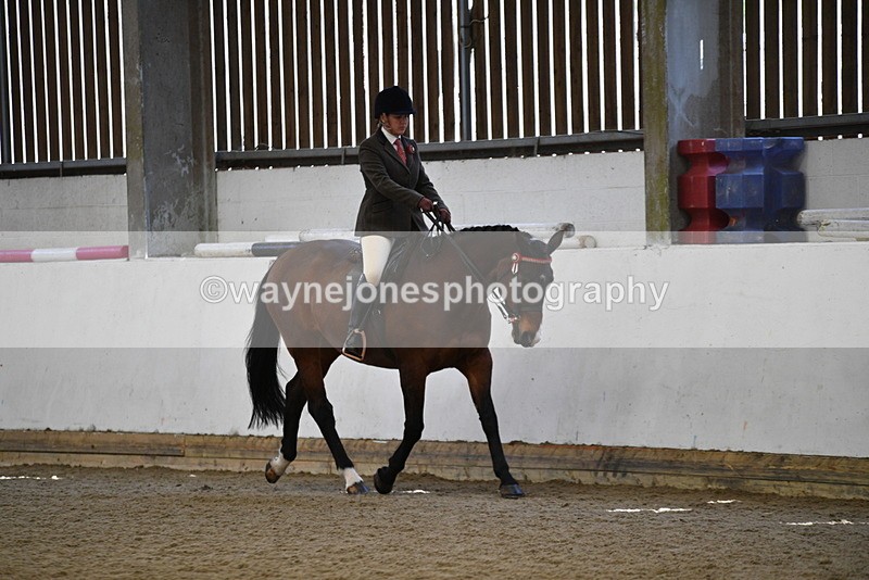 WJ5_5948 - Class 9 Ridden Veteran