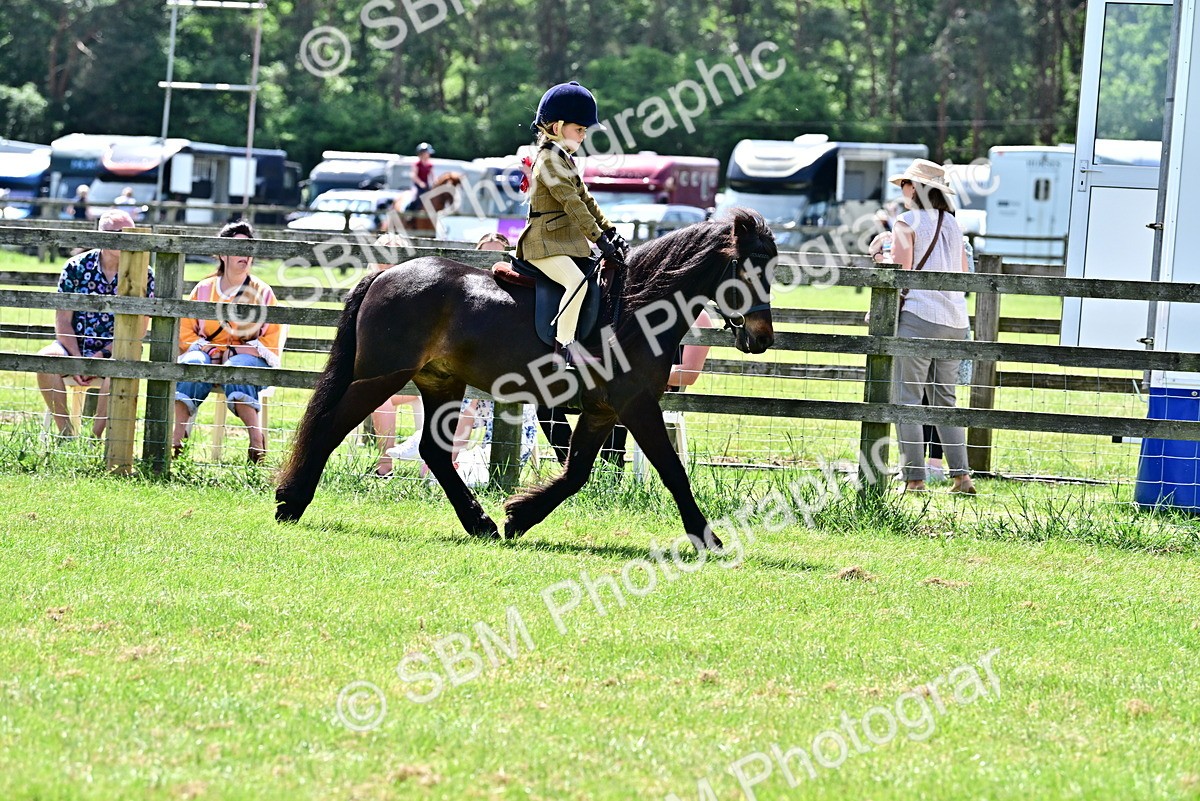 SBM_06033 - Class 59-60 - TSR M&M  Lear Rein and First Ridden Amateur of the year