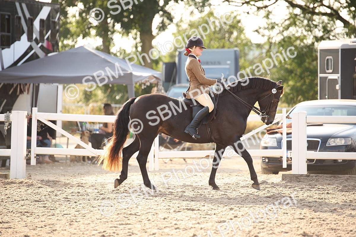 SBM_09184 - Regional Ridden Champ