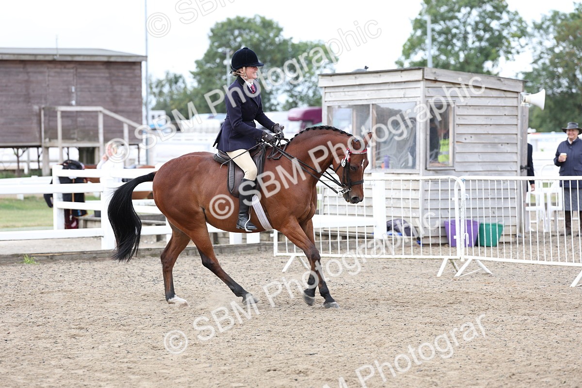 SBM_01482 - Class 52 - Ridden Veteran