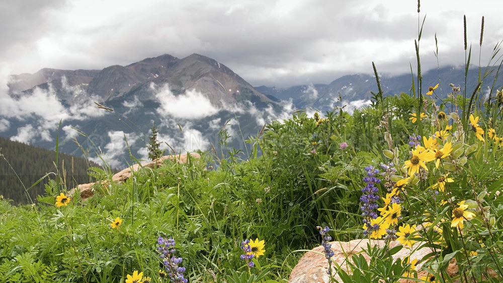 _DSC0659 - Colorado