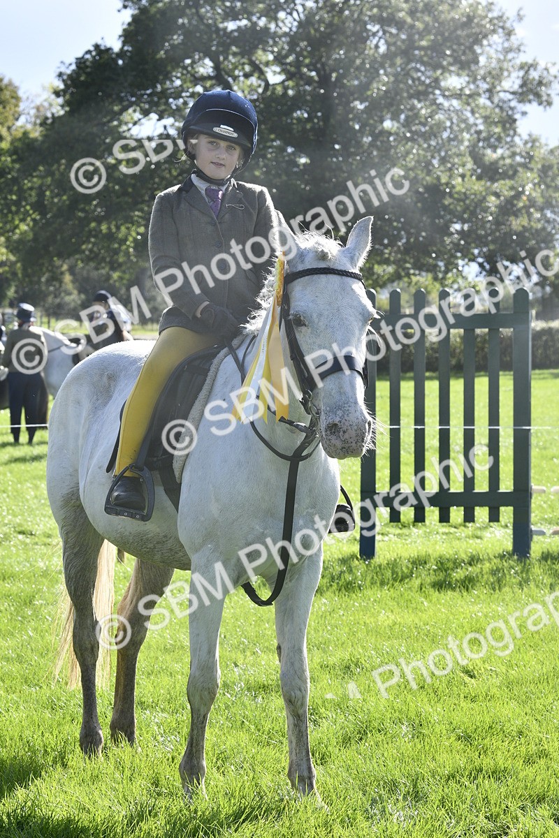 SBM_37241 - S31 - Novice & Newcomer Working Hunter Pony