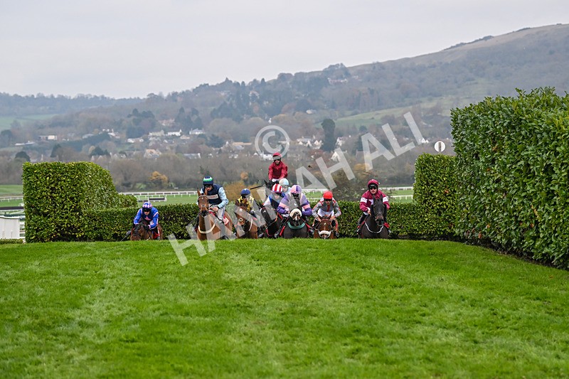 151124-Race 4-Tommie Beau-8123