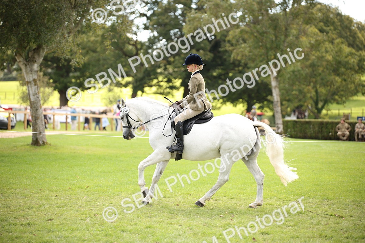 SBM_42331 - S13 - Pony Club Pony
