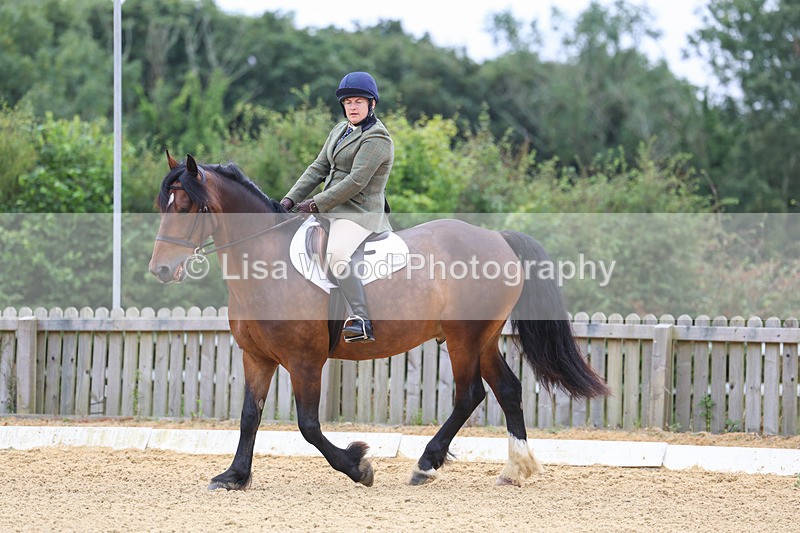 3E7A4587 - Class 1: Intro 4 2024 section A