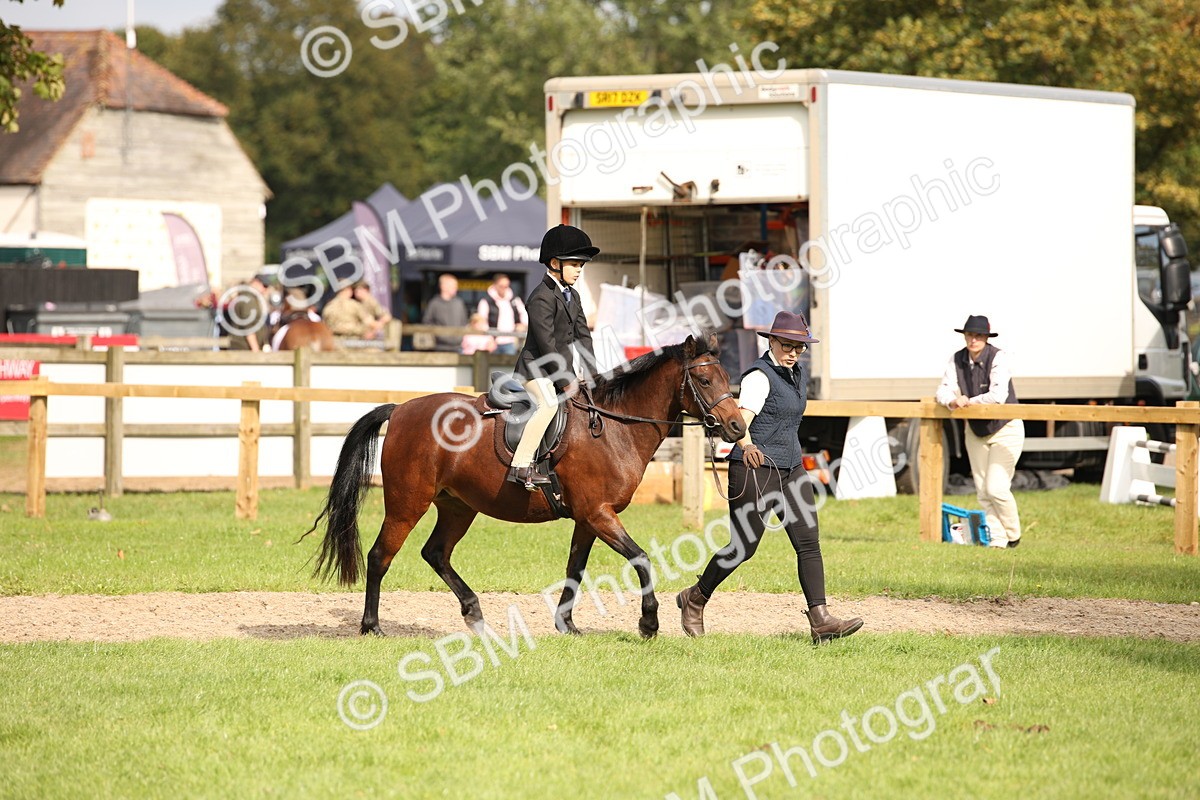 SBM_50026 - S26 - Young Veteran - Ridden