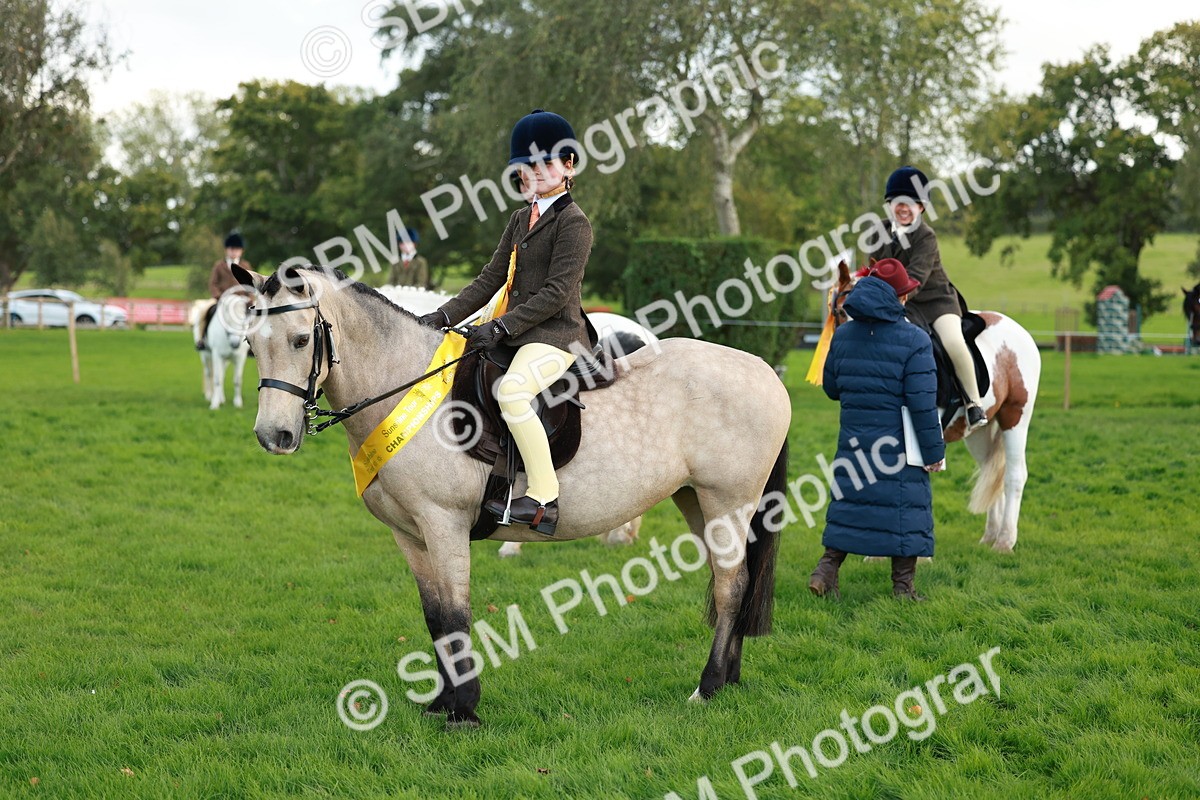 SBM_28889 - S7 - Novice & Newcomer Ridden Pony