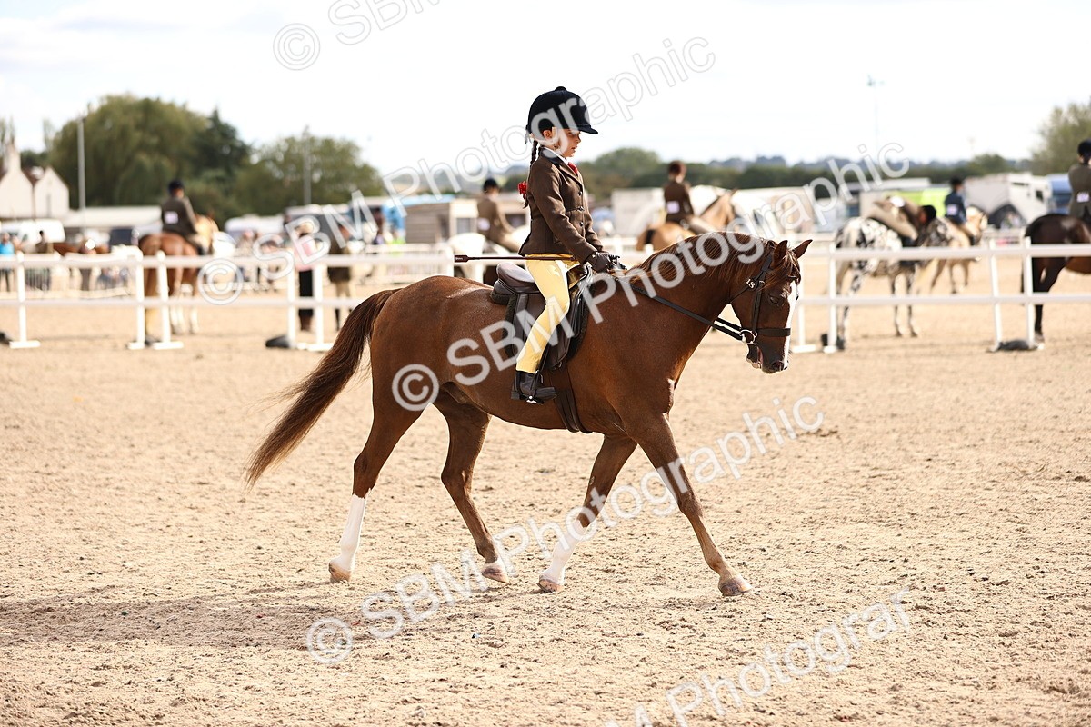 SBM_18057 - Class 422 - Equitation (Best Rider) Jnr
