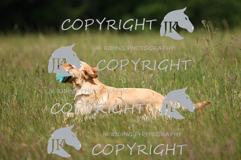 2R6A8520 - 32 Claire