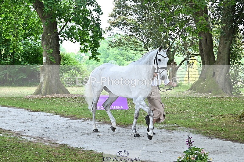 250521A-142916-00031 - A-066-Jemima.Howden-MONBEG.WHISPER