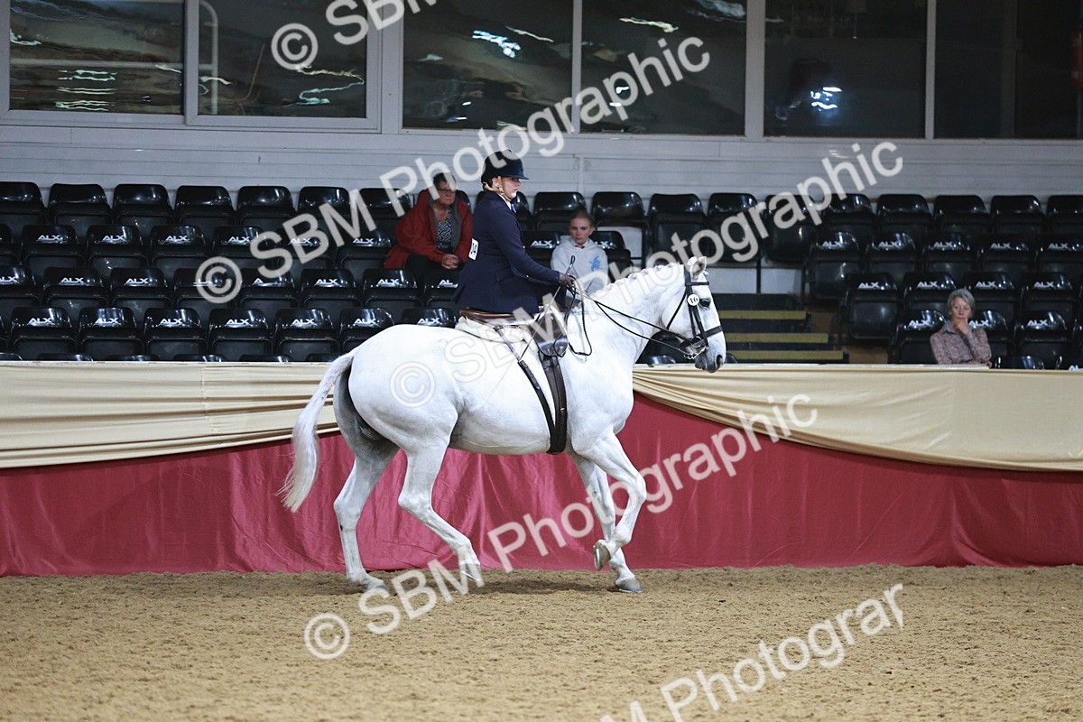SBM_09063 - Class 12R - Regional Ridden Pre-Vet