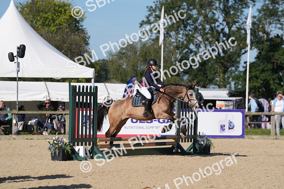 SBM_36202 - J 20 - Junior Horse 50cm Championship