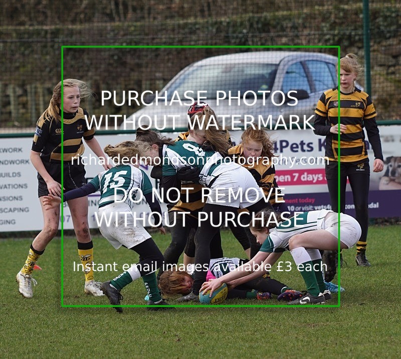 DSC09665 - Kendal Rugby Girls Festival