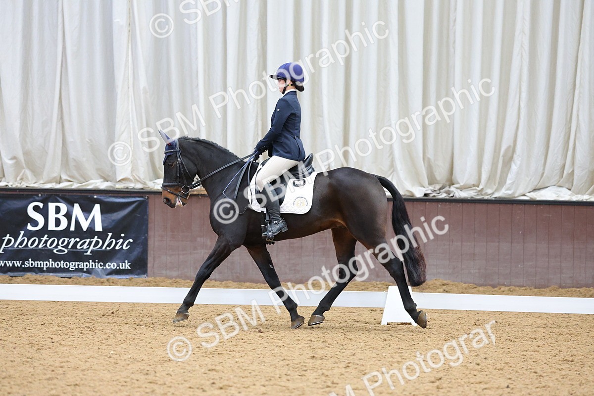 SBM_003107 - Novice
