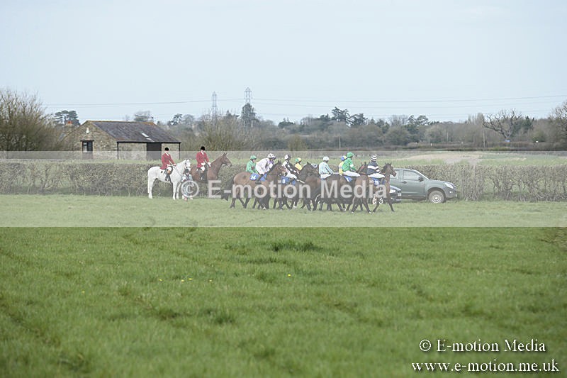 PtP 230319 130 - VWH Hunt Siddington Point-to-Point Racing 23/03/19
