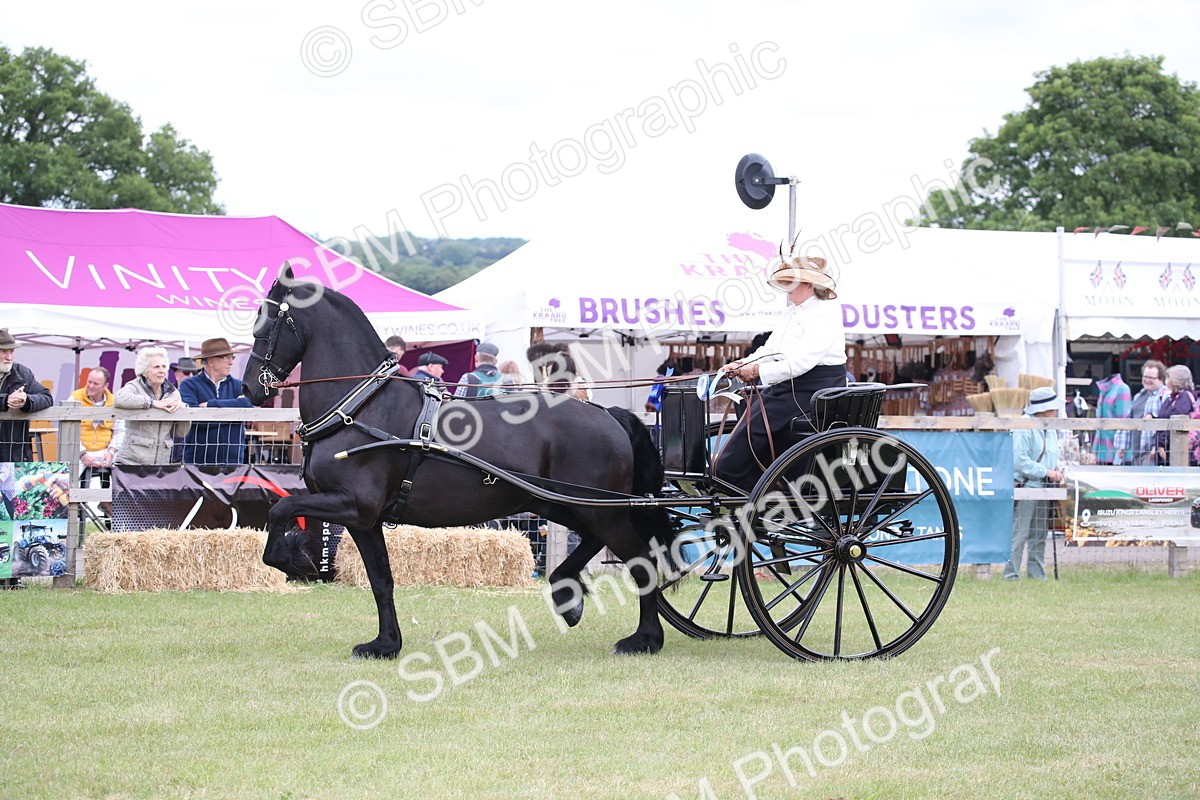 SBM_05805 - Class 12-15 - HOYS Private Driving