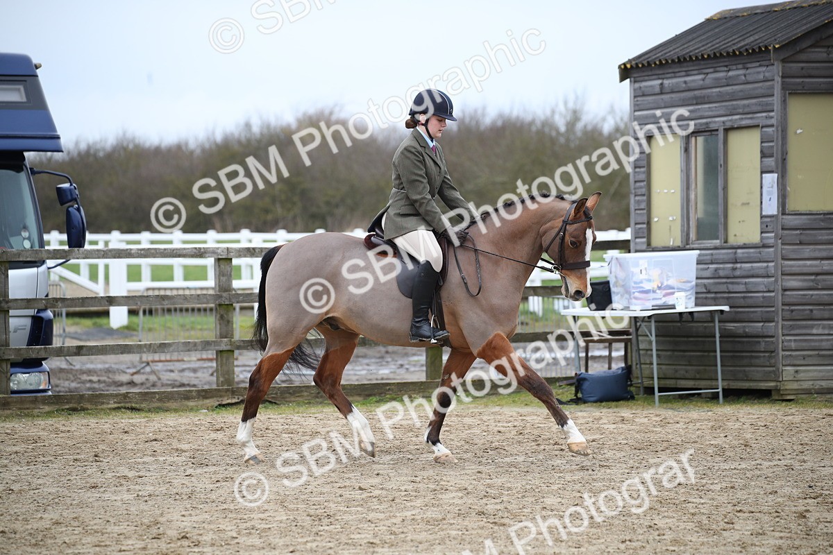 SBM_004731 - Class 5-9 - NPS In Hand-Show Hunter-Intermediate Ridden Inc Ridden Championship