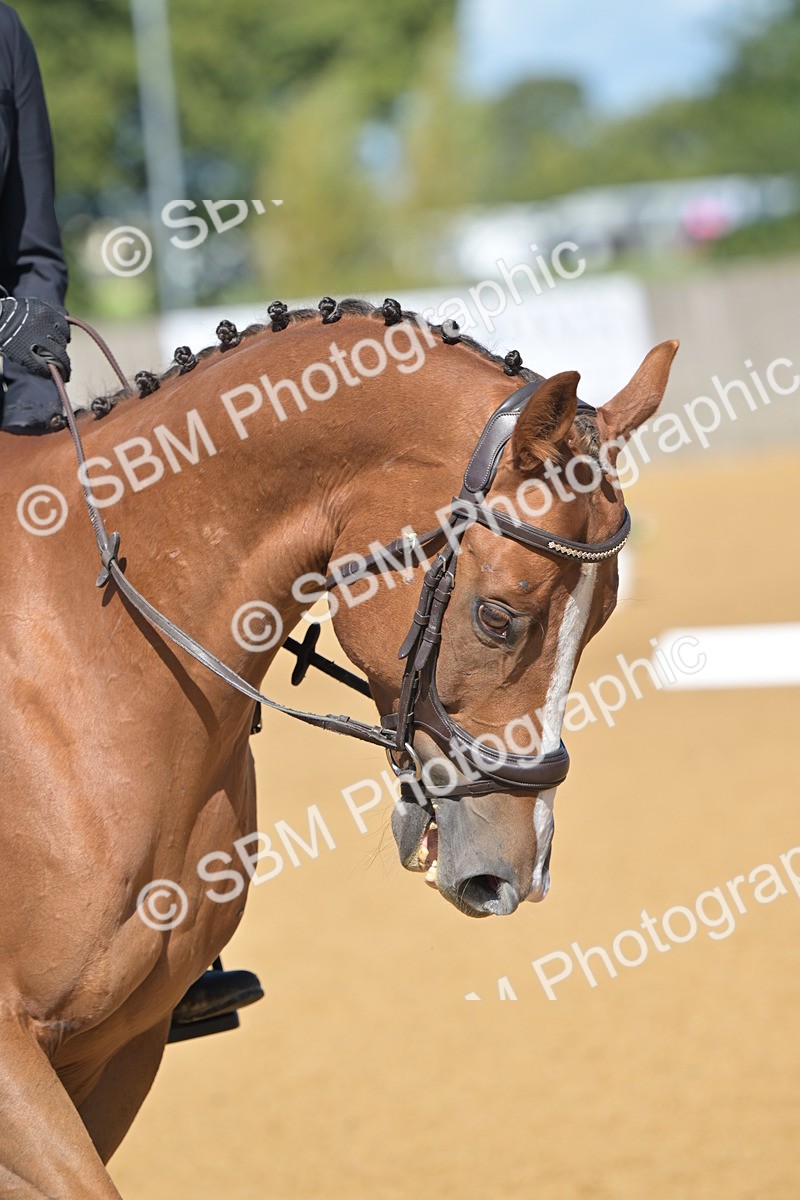 SBM_04018 - D2 - Small Tour Championship Intro 2