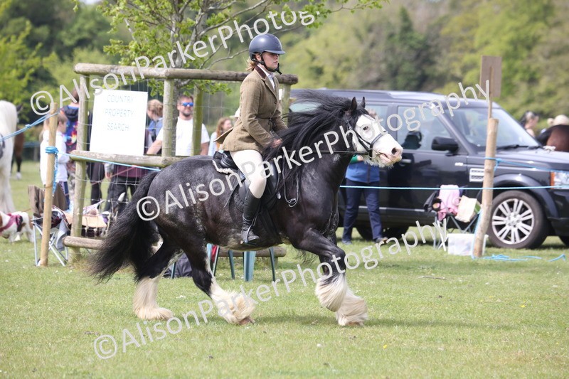 20260426-2971 - Class 33 - Best Pony 14.2hh and Under