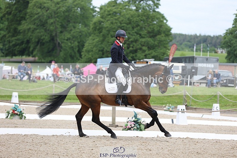 240524-101716-07357 - 260-WATERVALLEY_ROYAL_GUY-Harry_Meade