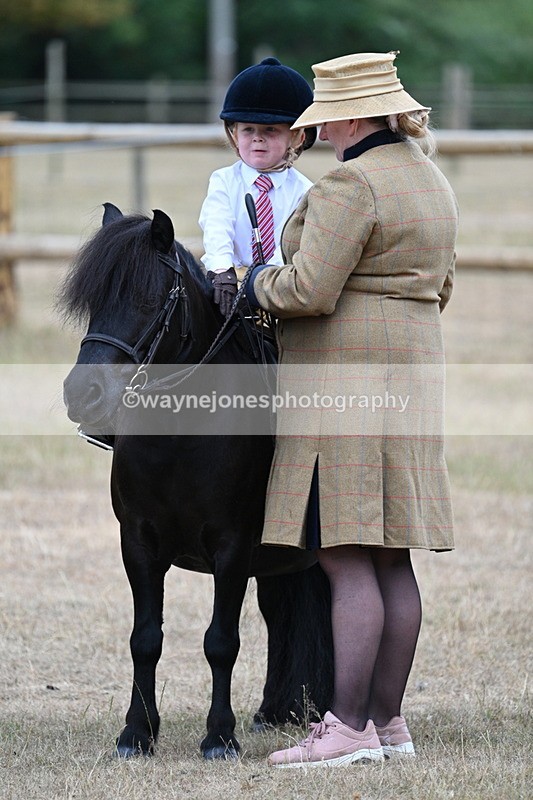 WJ7_8203 - Class 4 Prettiest Mare up to 14.2hh
