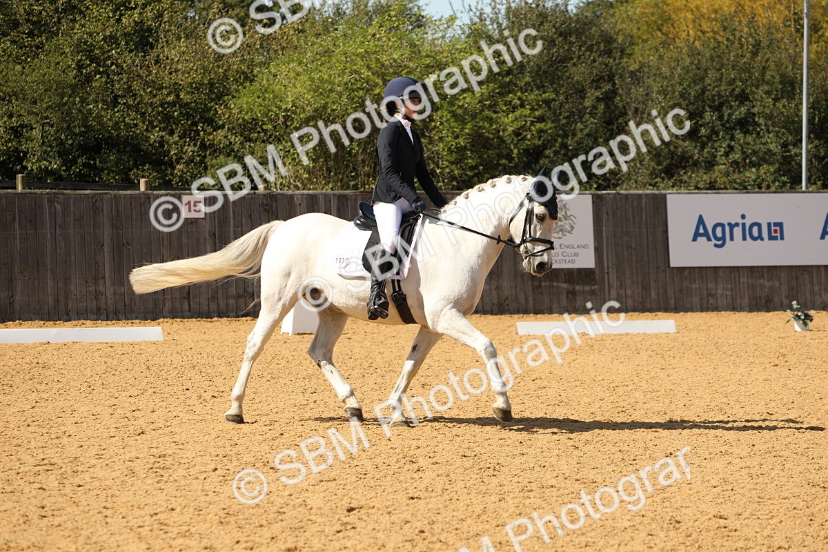 SBM_22357 - D17 - Grand Tour Championship - Novice 27