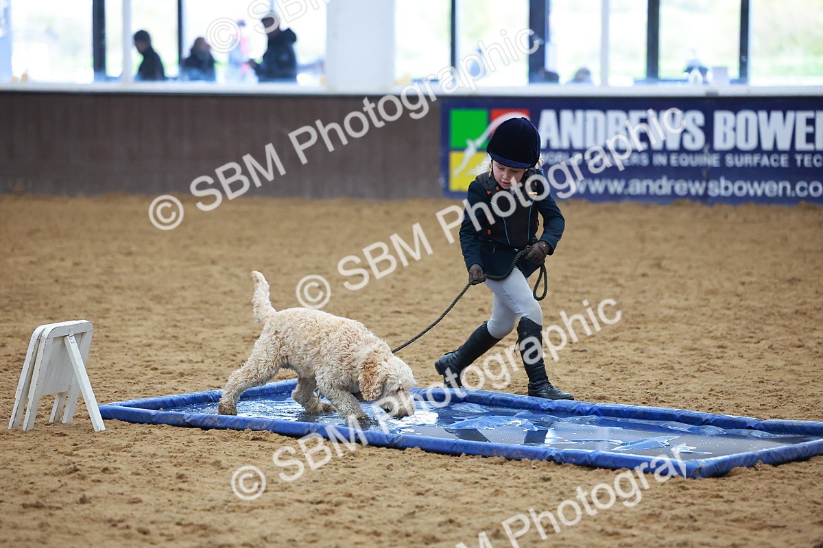 SBM_001594 - Class 3 - Horse & Hound (60cm)